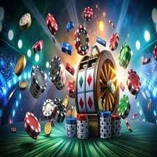 567bet